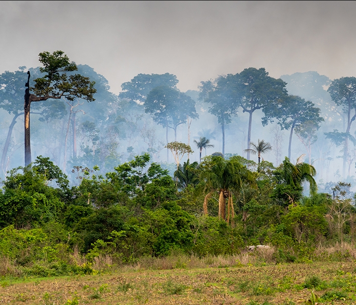 Amazonas steht so sehr in Flammen wie noch nie: Im August wurden 7.766 Feuer gezählt, wohl mit Absicht